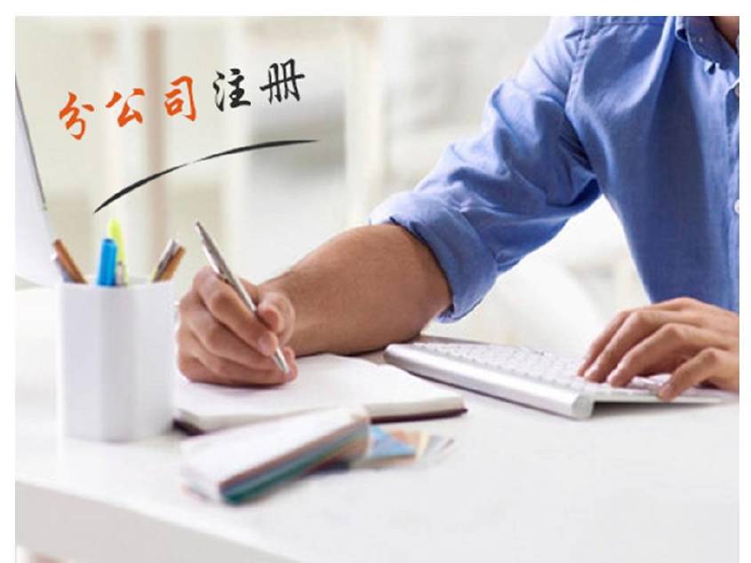 白沙高效代理营业执照和代办工商注册及设立标准登记办理服务？